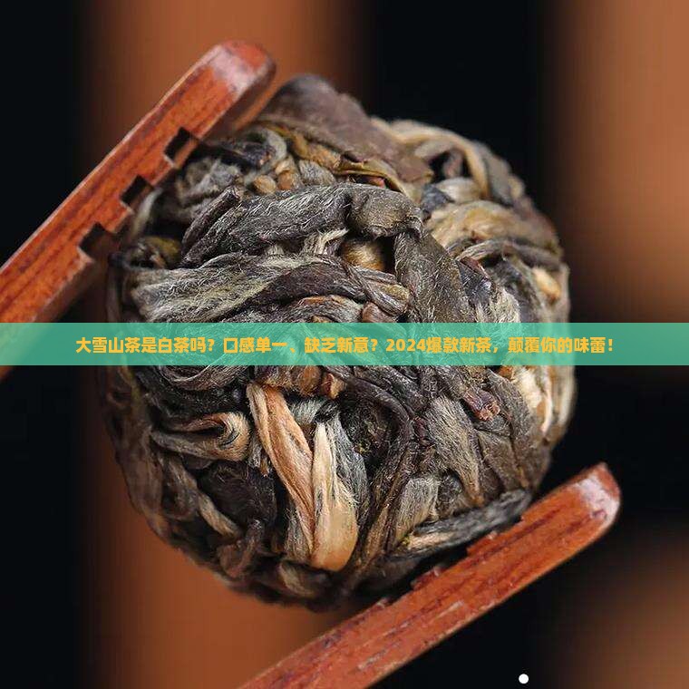 大雪山茶是白茶吗
