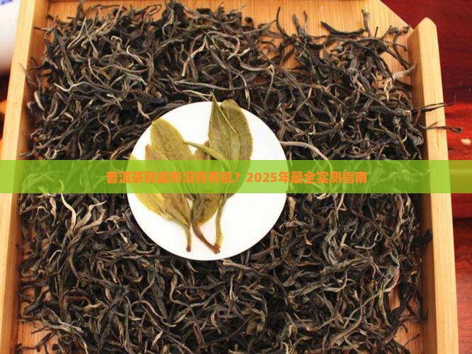 普洱茶有没有有机