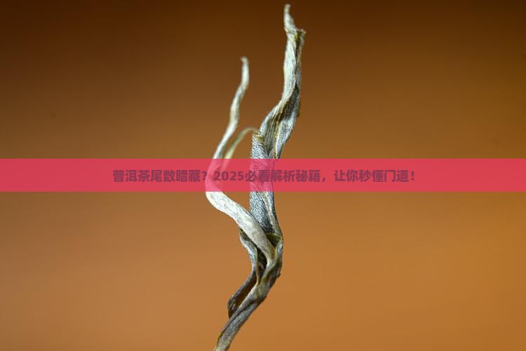 普洱茶尾数代表什么意思