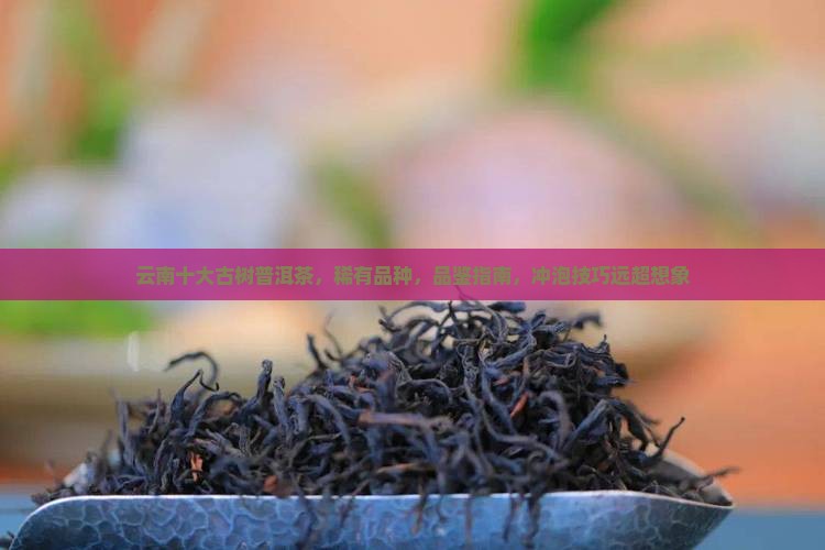 云南十大古树普洱茶