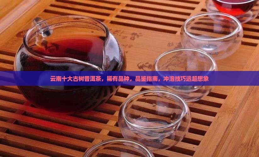 云南十大古树普洱茶
