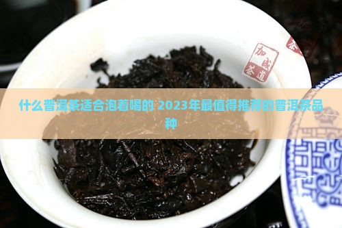 什么普洱茶适合泡着喝的