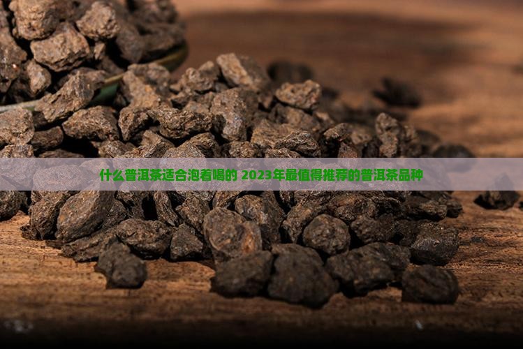 什么普洱茶适合泡着喝的