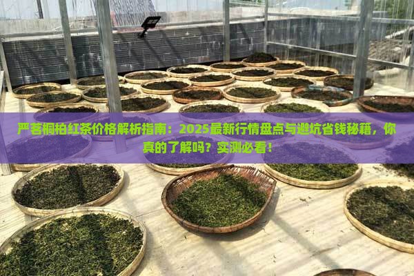 严茗桐柏红茶价格