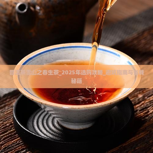 普洱茶雪山之春生茶