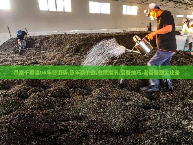 昌泰千家峰06年普洱茶