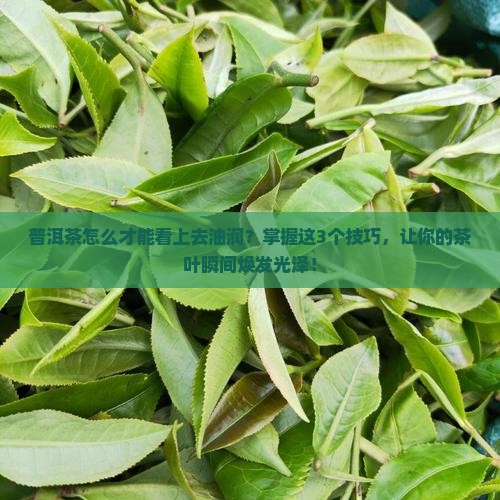 普洱茶怎么才能看上去油润