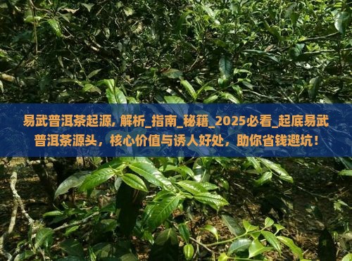 易武普洱茶起源