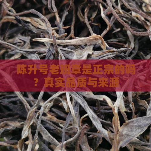 陈升号老班章是正宗的吗