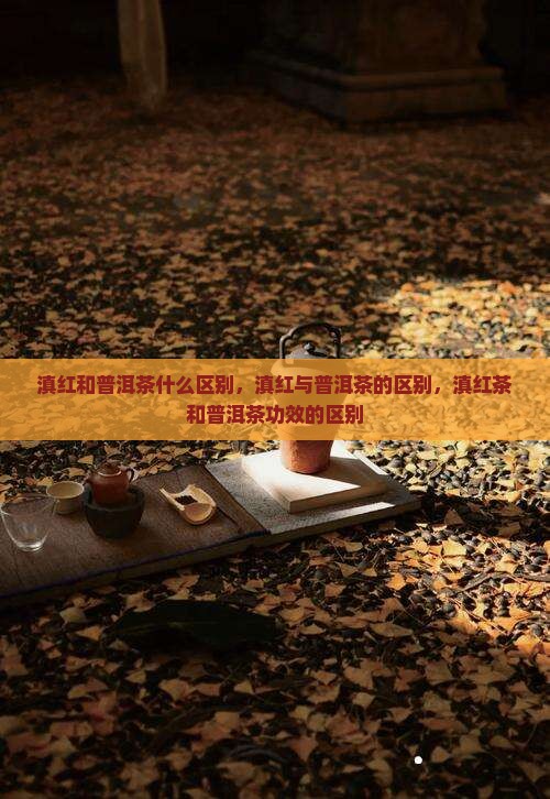 滇红和普洱茶什么区别