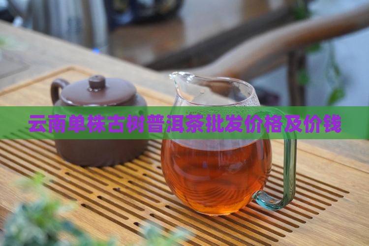 云南单株普洱茶的价钱
