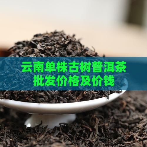 云南单株普洱茶的价钱