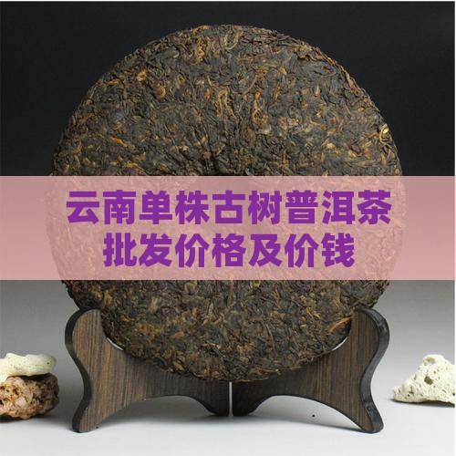 云南单株普洱茶的价钱