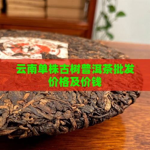 云南单株普洱茶的价钱