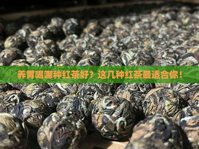 养胃喝哪种红茶好