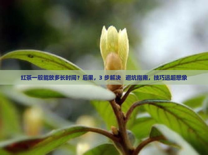 红茶一般能放多长时间