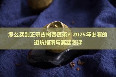 如何买到古树普洱茶