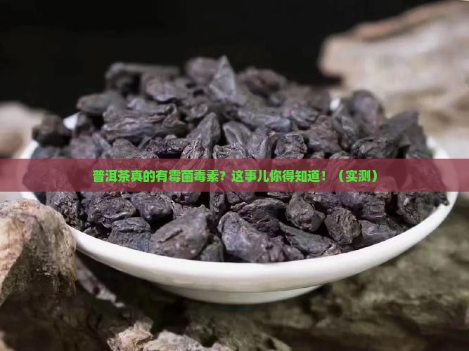 普洱茶有霉菌毒素吗
