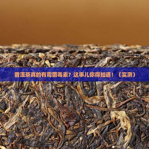 普洱茶有霉菌毒素吗