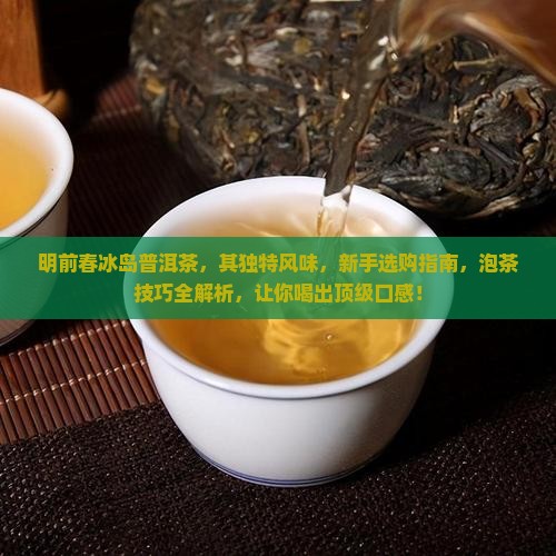 明前春冰岛普洱茶