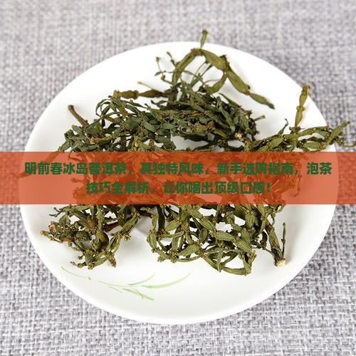 明前春冰岛普洱茶