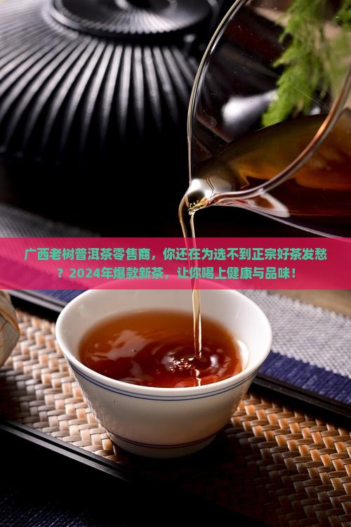 广西老树普洱茶零售商