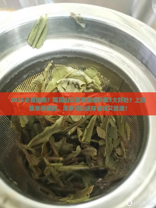 喝高山云雾茶的好处