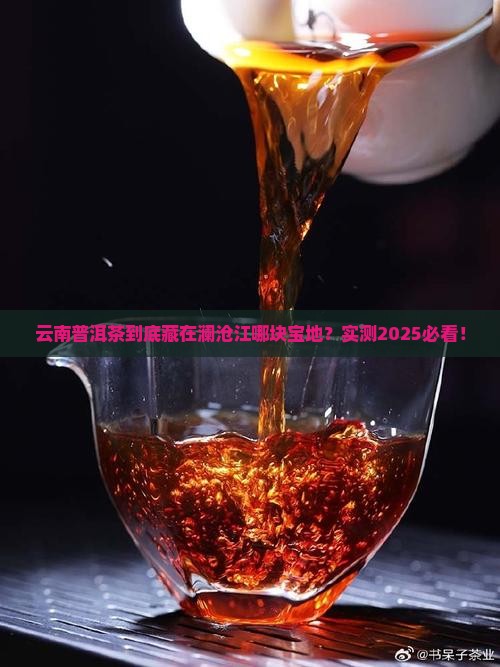 云南普洱茶主要分布在澜沧江哪里