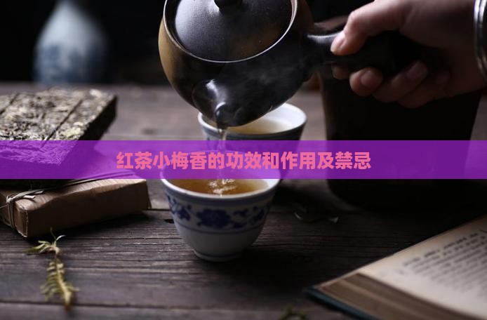 红茶小梅香的功效和作用