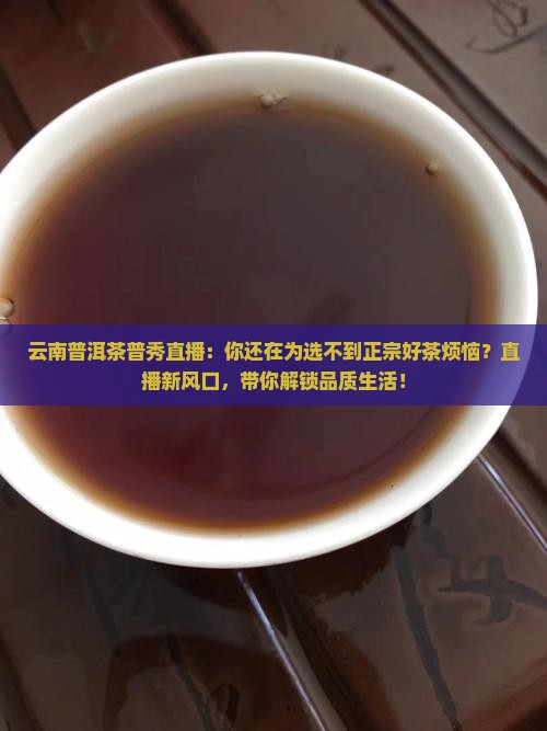 云南普洱茶普秀直播