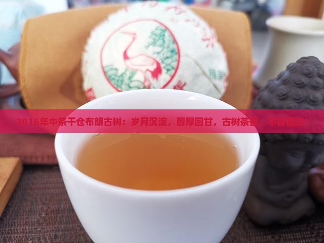 2016年中茶干仓布朗古树