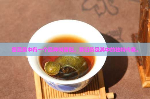 普洱茶中有一个品种叫昔归