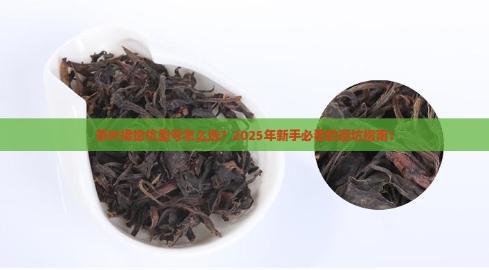 茶叶揉捻机型号