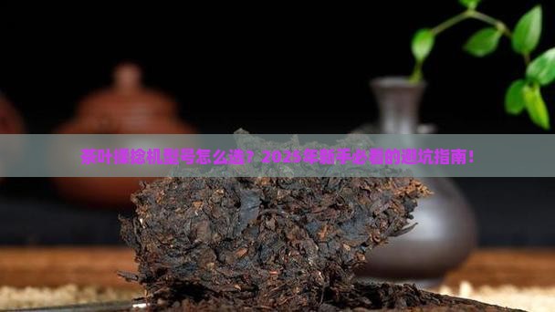 茶叶揉捻机型号