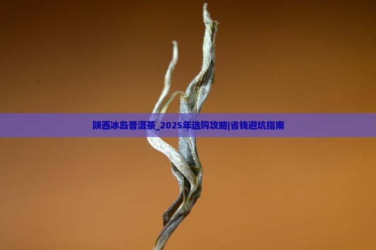 陕西冰岛普洱茶