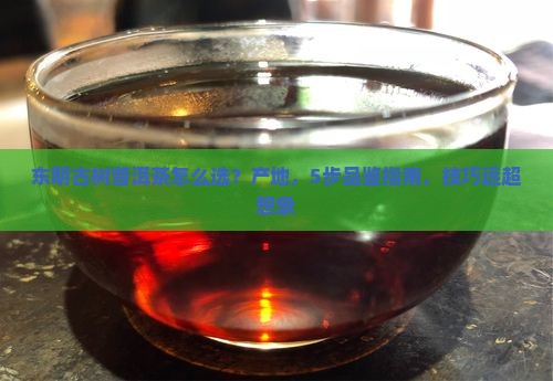 东明古树普洱茶