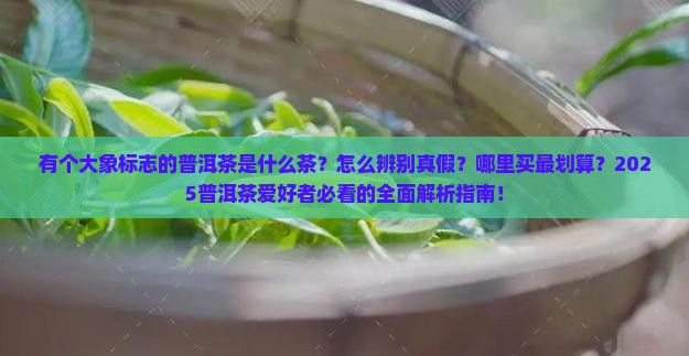 有个大象标志的普洱茶是什么茶