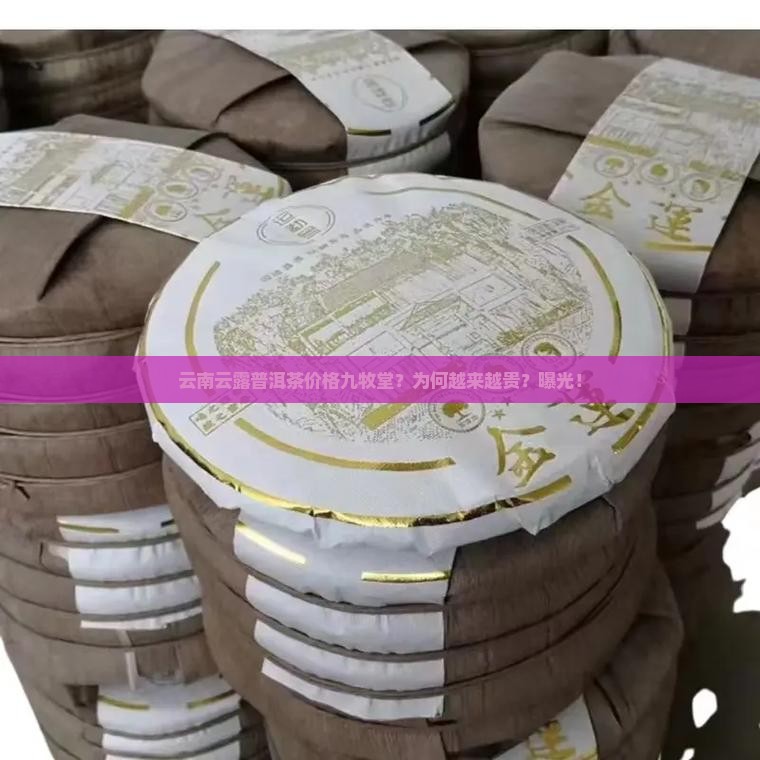 云南云露普洱茶价格九牧堂