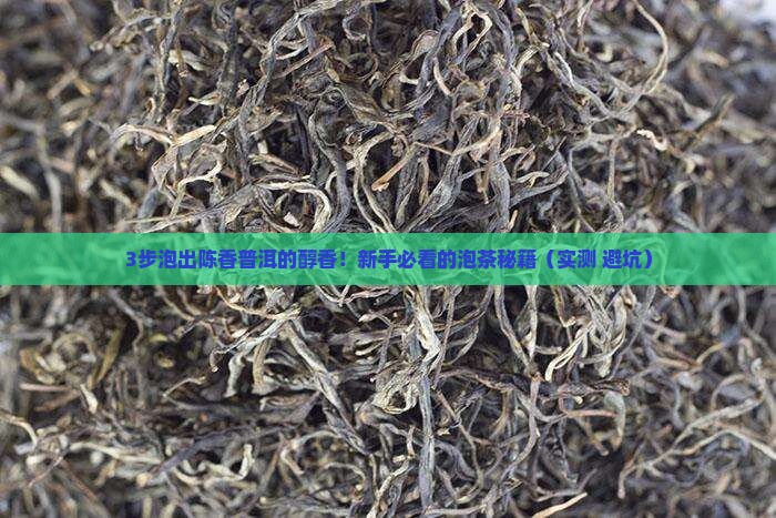 怎样泡陈香普洱茶好喝又简单