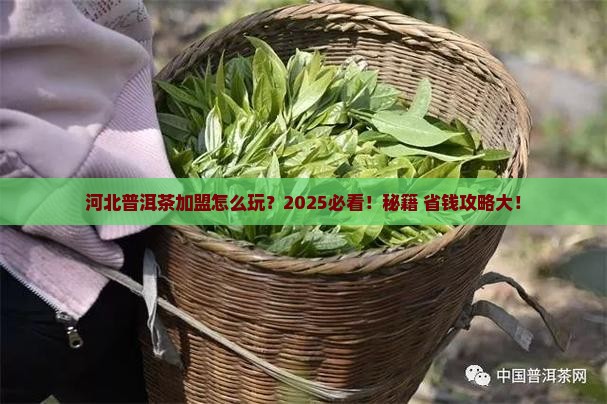 河北普洱茶渠道加盟条件