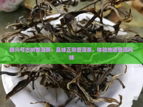群兴号古树普洱茶