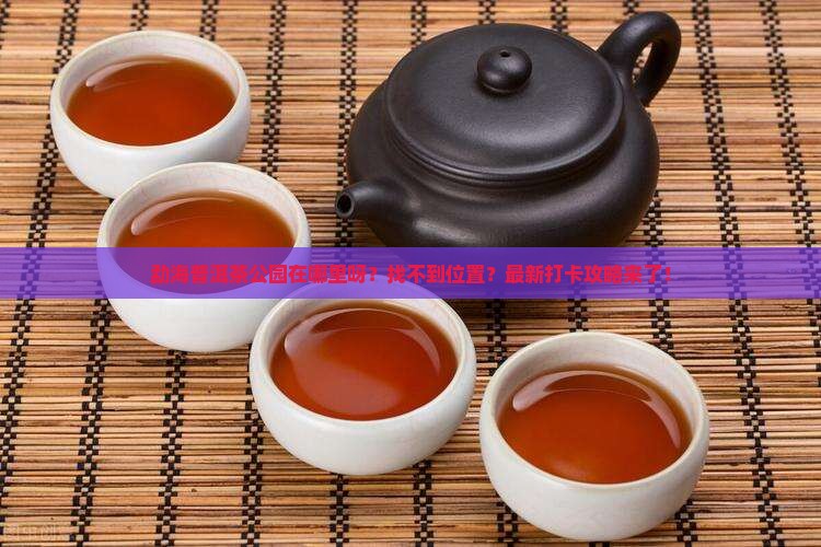 勐海普洱茶公园在哪里呀