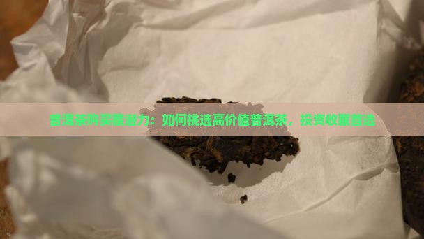 普洱茶购买藏潜力