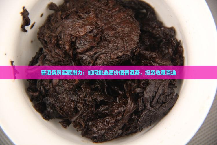 普洱茶购买藏潜力