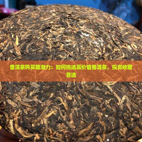 普洱茶购买藏潜力
