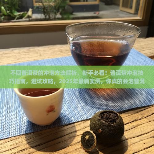 不同普洱茶的冲泡