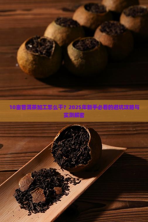10亩普洱茶加工