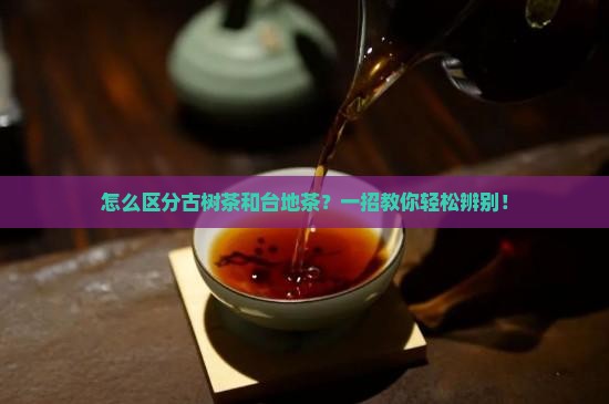 怎么区分古树茶和台地茶