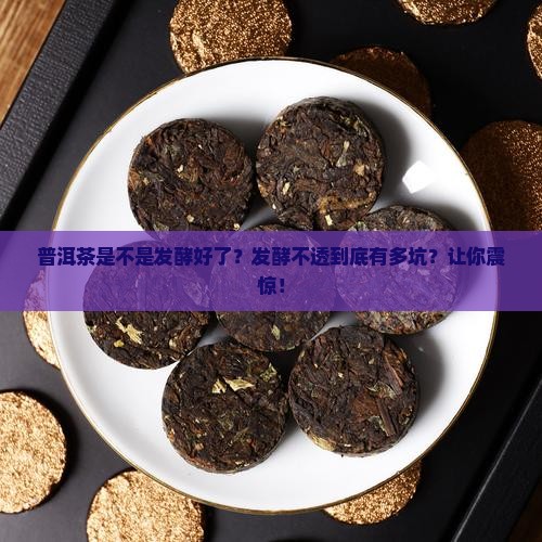 普洱茶是不是发酵好了