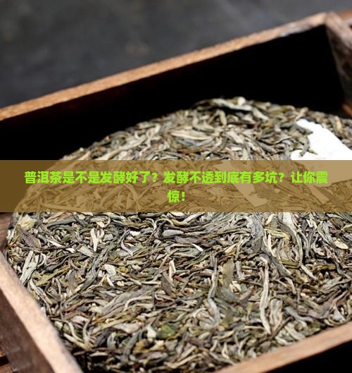 普洱茶是不是发酵好了
